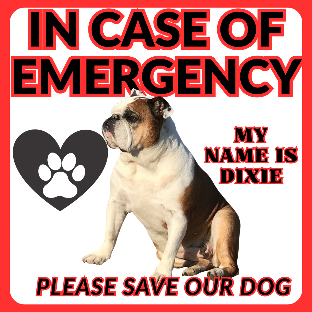 🚨In Case of Emergency -Please Save Our Pet Custom Sticker