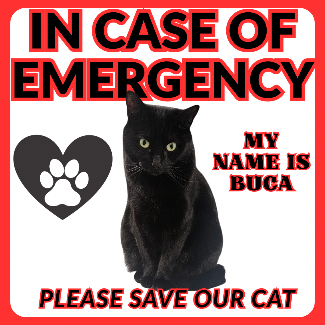 🚨In Case of Emergency -Please Save Our Pet Custom Sticker